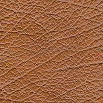 Buffalo Leather color brown light
