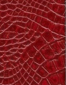 Crocodile Leather color Red