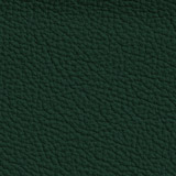 Italian Leather colour Green Dark