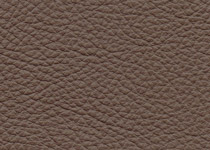 Italian Leather colour 3016 Mud