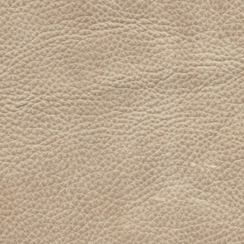 Vintage Leather colour 7001 Rye