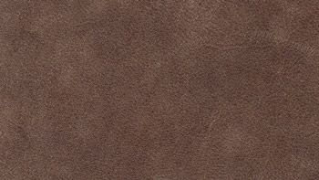 Leather Maya Color 7303 Terra