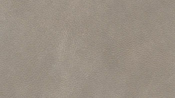 Leather Maya Color 7307 Pietra