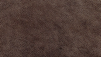 Leather Terra Color 5702 Palude