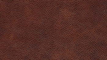Leather Terra Color 5703 Brandy