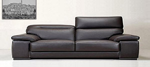 Bestbuy Leather Sofa