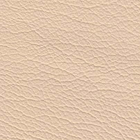 Buffalo Leather color cream