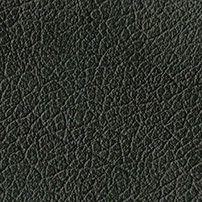 Buffalo Leather color green