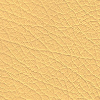 Buffalo Leather color yellow