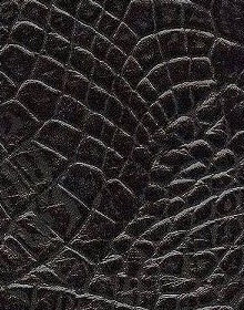 Crocodile Leather color black