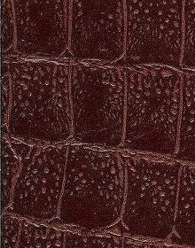 Crocodile Leather color brown