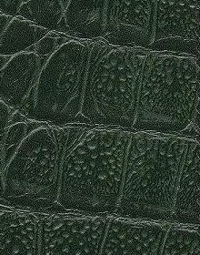 Crocodile Leather color green