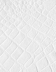 Crocodile Leather color White
