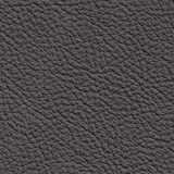 Italian Leather colour Shadow