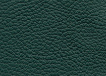 Italian Leather colour 3021 Forest