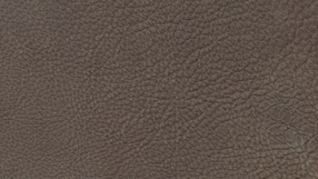 Leather Maya Color 7306 Rhino