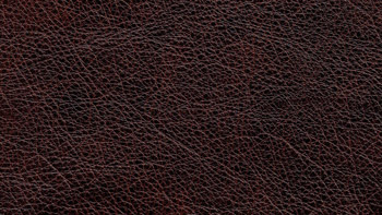 Leather Terra Color 5704 Tobacco